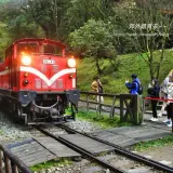 00018 阿里山小火車