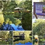 00011 姊妹潭 姊潭