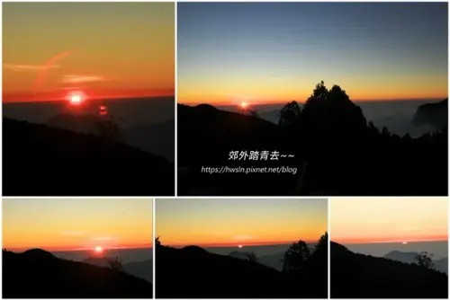 00024 阿里山逐漸消失的西山一點紅.webp