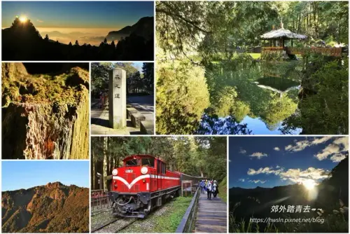 00000 阿里山.webp