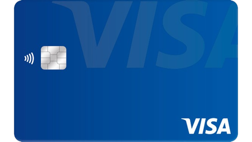 visa traditional card 800x450 removebg preview.png