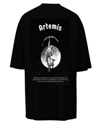 Artemis back design removebg preview.jpg