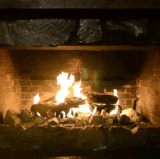 6tUaM8d.gif