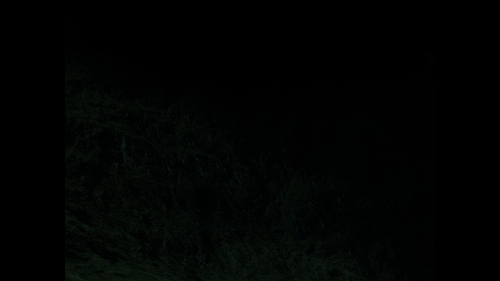 44e0a510359d.png