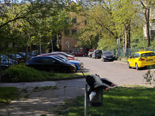 IMG 20240407 145157.jpg