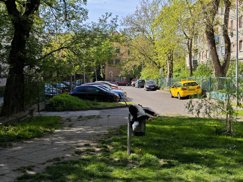 IMG 20240407 145155.jpg
