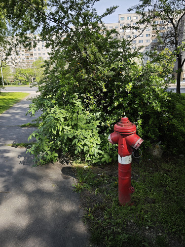 IMG 20240407 145509.jpg
