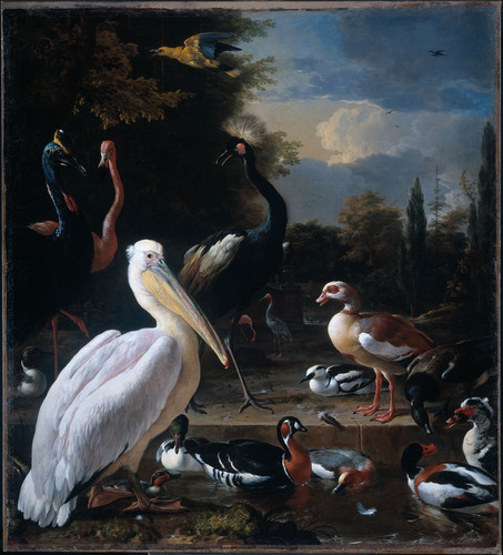 Hondecoeter, Melchior d' Пеликан и другие птиц на водохранилище, известное как 'Водоплавающие пернат