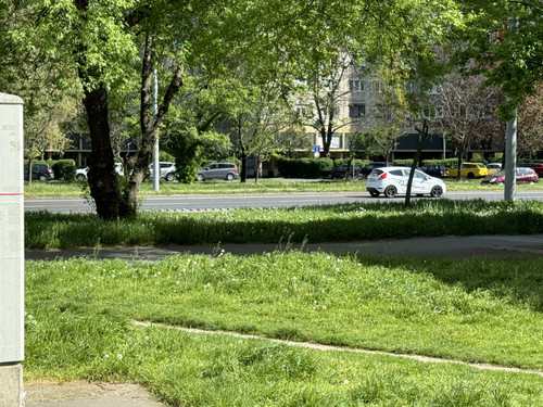 IMG 3992.jpg