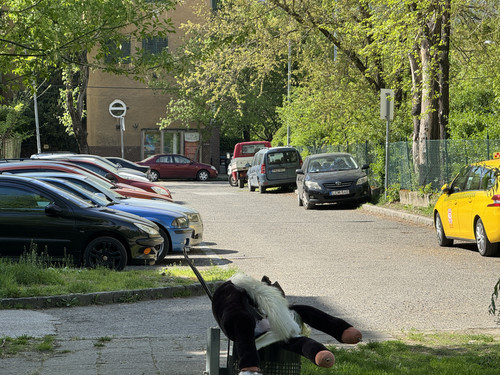 IMG 4004.jpg