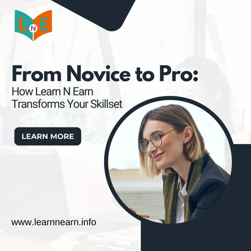 From Novice to Pro: How Learn N Earn Transforms Your Skillset.png
