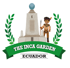 images (1).png