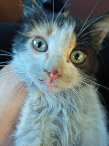 photo 2024 04 09 20 11 52.jpg