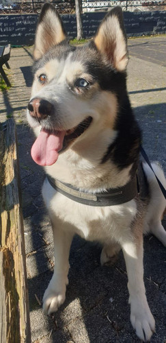 photo 2024 04 09 20 12 06.jpg