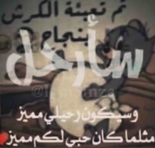 19304BAB 76B8 4D50 A5A1 AD7F6687445B.jpg