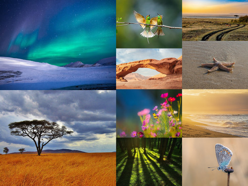 ' Glorified is The Mighty Creator  '.jpg