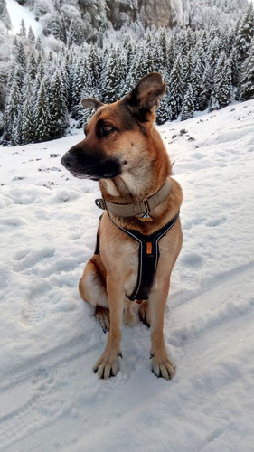 photo 2024 04 09 20 24 16.jpg