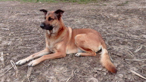 photo 2024 02 26 14 39 49.jpg