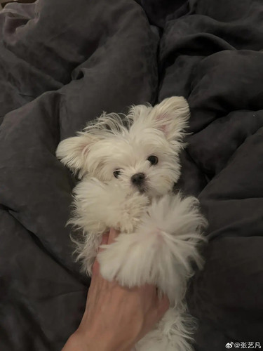 E8FAC34C C394 4197 9799 961BD448E168.jpg