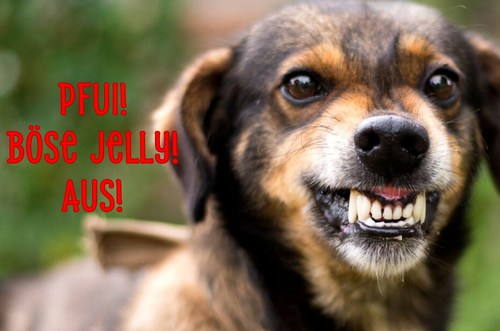 Jelly aus.png