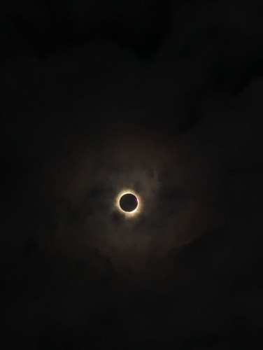 1712609298137.jpg