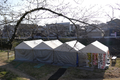 TZ95P1001873.jpg