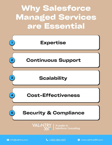 Why Salesforce Managed Services are Essential.jpg