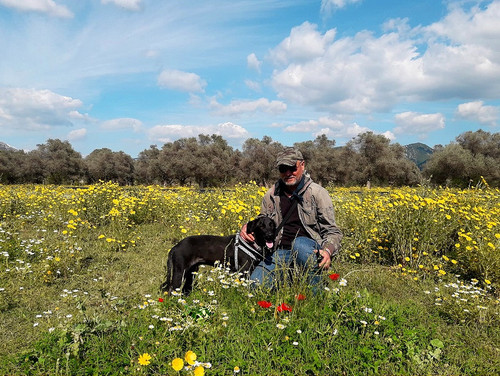 nature zeytin.jpg