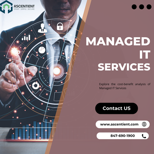 Best managed IT Services in Illinois | Ascentient.png