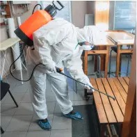 Bed Bug Pest Control Services In Delhi.jpg