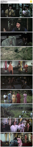 飞渡卷云山.Magnificent.Bodyguards.1978.GER.BDRip.1080p.x265.10bit.DDP5.1 DGB.mkv.jpg