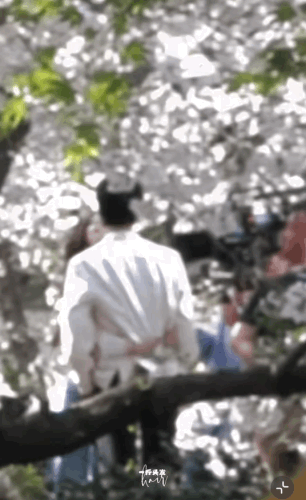 IMB C1dO87.gif