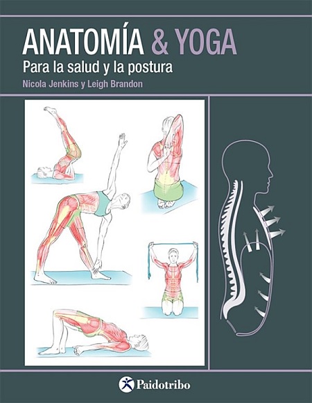 Anatomía & yoga para la salud y la postura - Nicky Jenkins y Leigh Brandon (Multiformato) [VS]