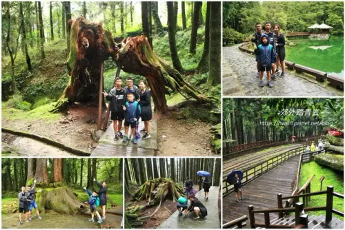 00002 阿里山森林遊樂區.webp