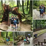 00002 阿里山森林遊樂區