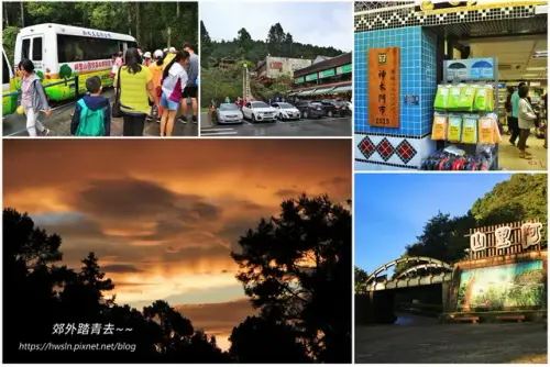 00008 阿里山小7神木門市.webp