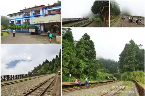 00017 阿里山青年活動中心.webp