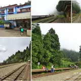 00017 阿里山青年活動中心