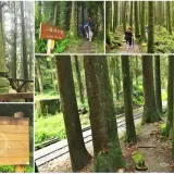 00019 二萬坪步道