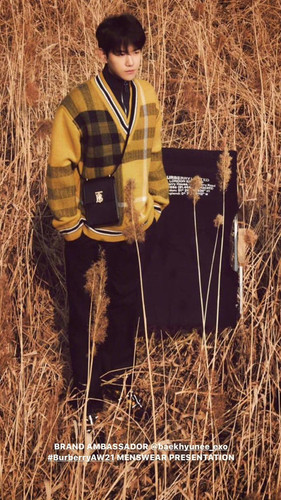 8C43A58C 49CD 42EF A681 B287234F4380.jpg