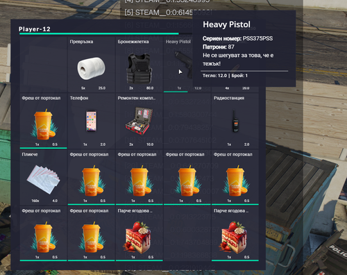 FiveM b2802 GTAProcess 4o4u1eO6Y6.png