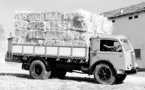 412508294 3354637124834550 7308212481177783292 n 1.jpg