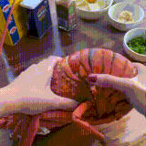 lobster.gif