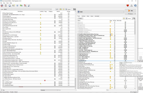 MO2 DynDOLOD esm.jpg