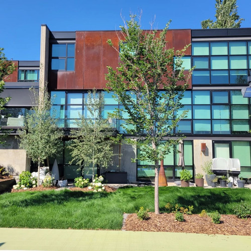 Exterior window cleaning.jpg