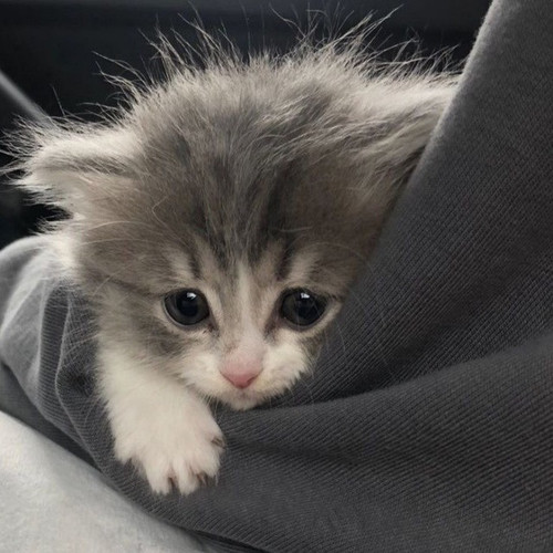 photo 2023 04 29 18 54 49.jpg