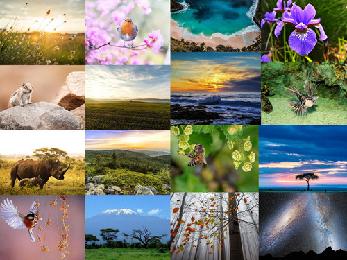 ' Glorified is The Mighty Creator '.jpg