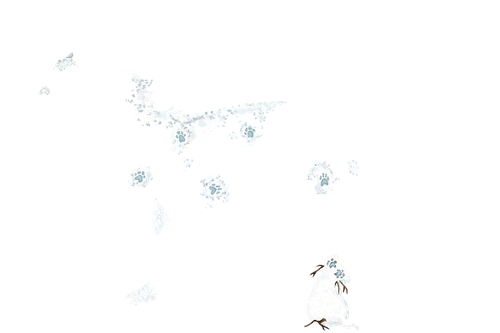 1000027136.png