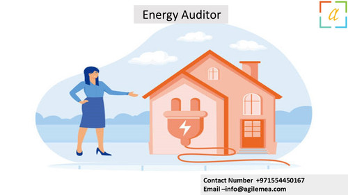 eauditor 9.4.2024.jpg