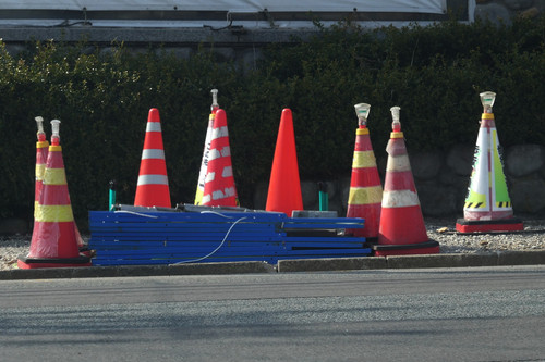 TZ95P1001824.jpg